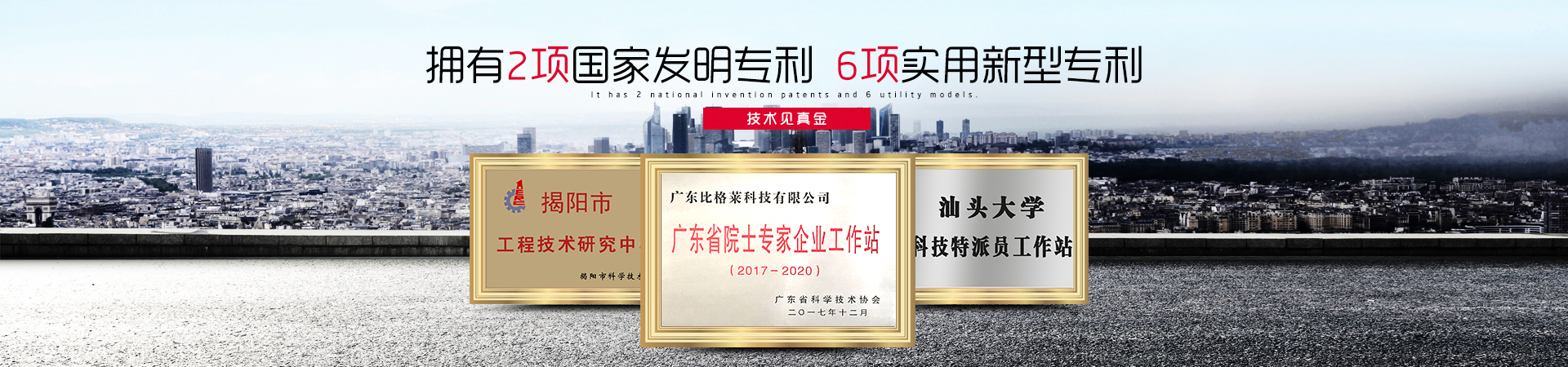 比格萊榮譽資質